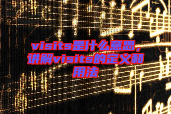 visits是什么意思,講解visits的定義和用法