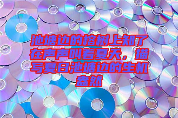 池塘邊的榕樹(shù)上知了在聲聲叫著夏天,描寫(xiě)夏日池塘邊的生機(jī)盎然