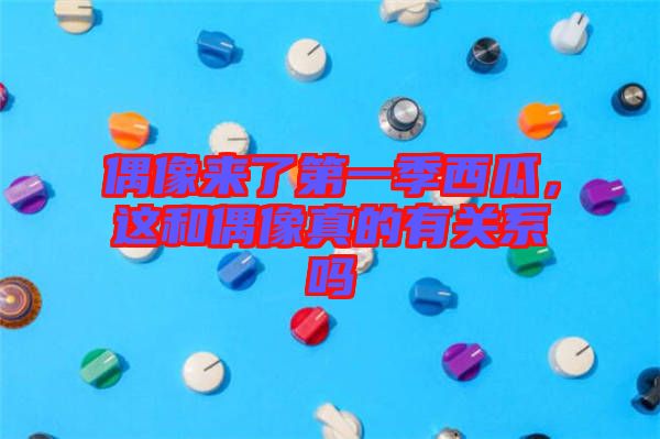 偶像來了第一季西瓜,這和偶像真的有關(guān)系嗎