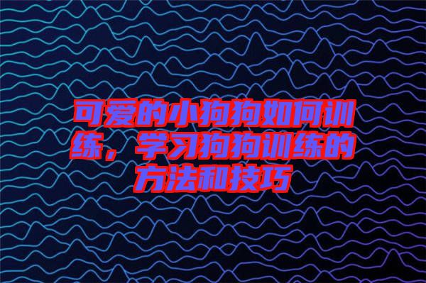 可愛的小狗狗如何訓(xùn)練,學(xué)習(xí)狗狗訓(xùn)練的方法和技巧
