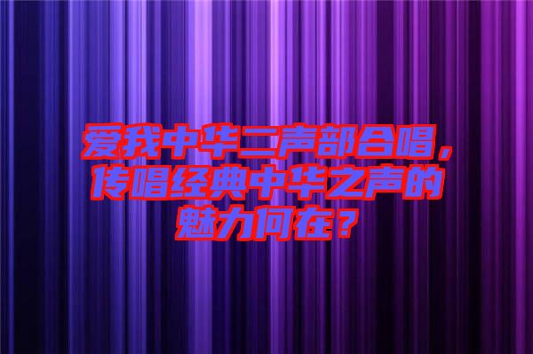 愛我中華二聲部合唱，傳唱經典中華之聲的魅力何在？