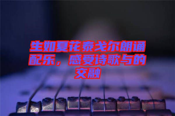 生如夏花泰戈爾朗誦配樂,感受詩歌與的交融