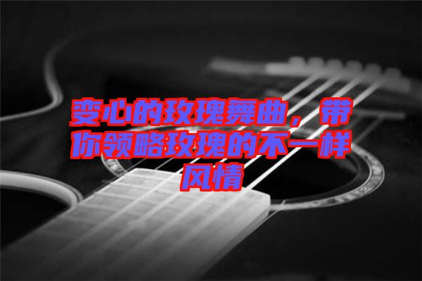變心的玫瑰舞曲,帶你領略玫瑰的不一樣風情