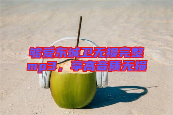 夠愛東城衛(wèi)無損完整mp3,享高音質(zhì)無損