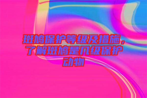 斑鳩保護(hù)等級(jí)及措施,了解斑鳩是幾級(jí)保護(hù)動(dòng)物