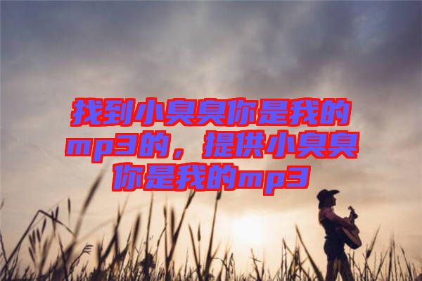 找到小臭臭你是我的mp3的,提供小臭臭你是我的mp3