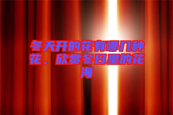 冬天開的花有哪幾種花,欣賞冬日里的花海