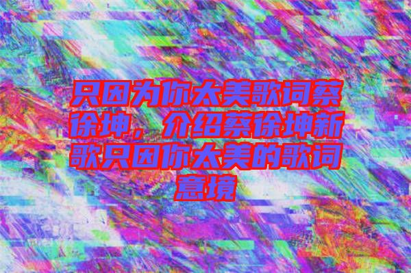 只因為你太美歌詞蔡徐坤,介紹蔡徐坤新歌只因你太美的歌詞意境