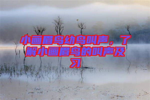 小畫眉鳥幼鳥叫聲,了解小畫眉鳥的叫聲及習