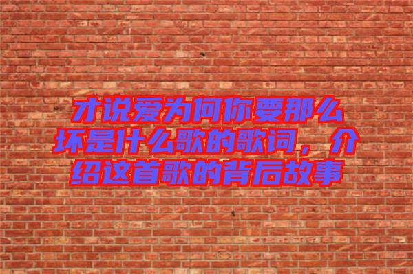 才說(shuō)愛(ài)為何你要那么壞是什么歌的歌詞，介紹這首歌的背后故事