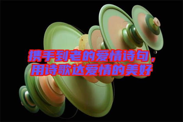 攜手到老的愛情詩句,用詩歌達愛情的美好
