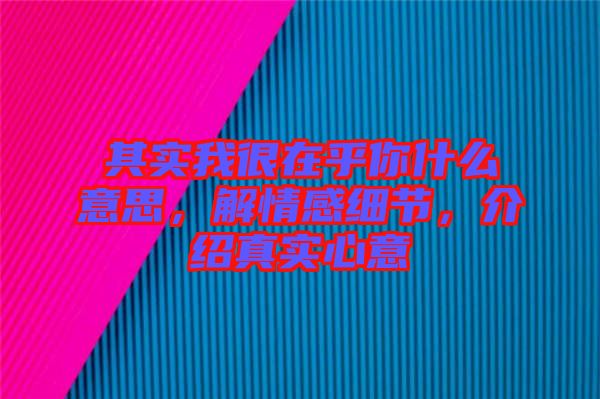 其實我很在乎你什么意思,解情感細節,介紹真實心意