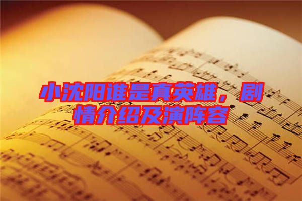 小沈陽(yáng)誰(shuí)是真英雄,劇情介紹及演陣容