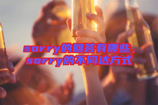 sorry的回答有哪些,sorry的不同達方式