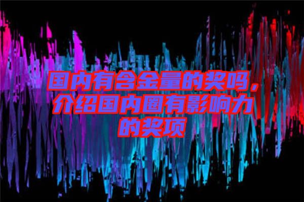 國內(nèi)有含金量的獎嗎,介紹國內(nèi)圈有影響力的獎項