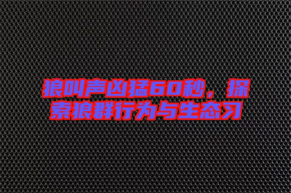 狼叫聲兇猛60秒,探索狼群行為與生態習