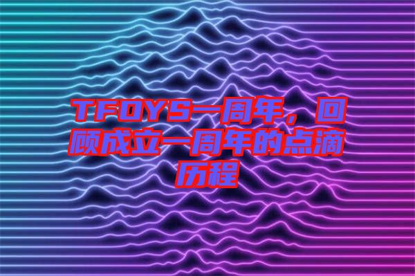 TFOYS一周年,回顧成立一周年的點滴歷程