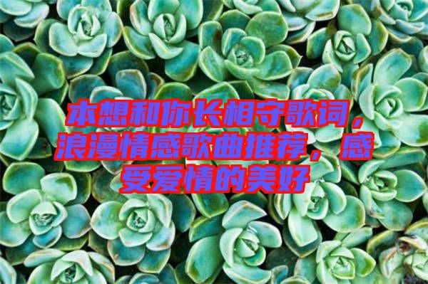 本想和你長相守歌詞,浪漫情感歌曲推薦,感受愛情的美好