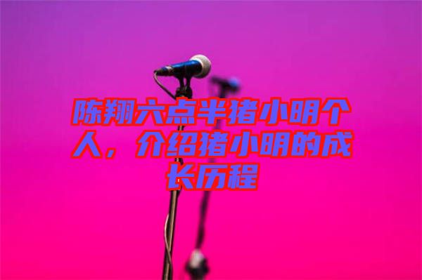 陳翔六點半豬小明個人,介紹豬小明的成長歷程