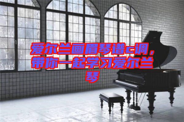 愛爾蘭畫眉琴譜c調，帶你一起學習愛爾蘭琴