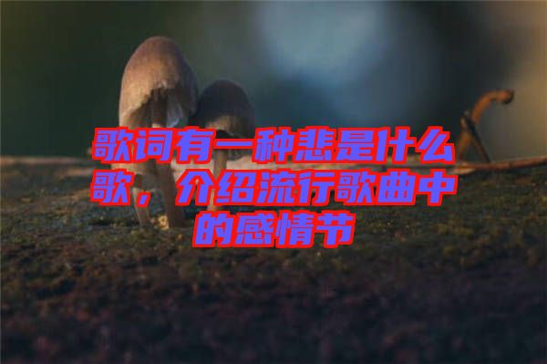 歌詞有一種悲是什么歌，介紹流行歌曲中的感情節