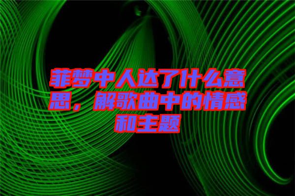 菲夢中人達了什么意思，解歌曲中的情感和主題