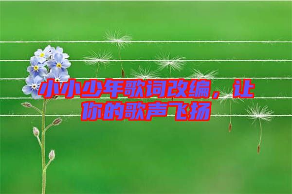 小小少年歌詞改編,讓你的歌聲飛揚