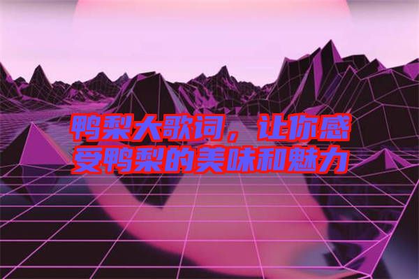 鴨梨大歌詞,讓你感受鴨梨的美味和魅力