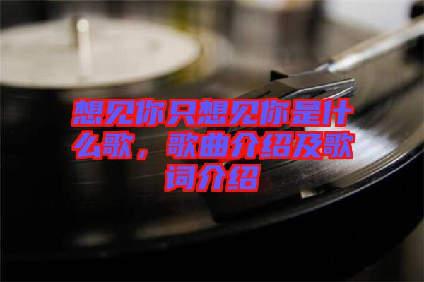 想見(jiàn)你只想見(jiàn)你是什么歌,歌曲介紹及歌詞介紹