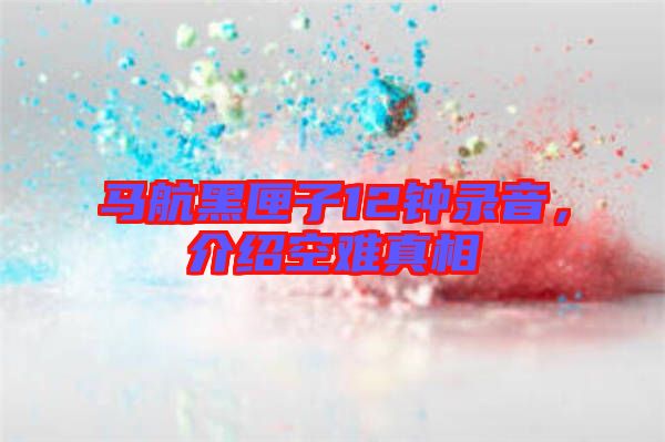 馬航黑匣子12鐘錄音,介紹空難真相