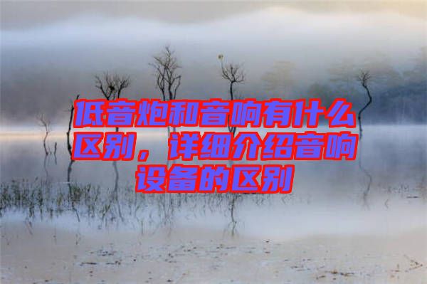 低音炮和音響有什么區別,詳細介紹音響設備的區別