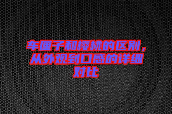 車?yán)遄雍蜋烟业膮^(qū)別,從外觀到口感的詳細(xì)對比