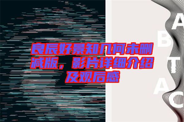 良辰好景知幾何未刪減版,影片詳細介紹及觀后感