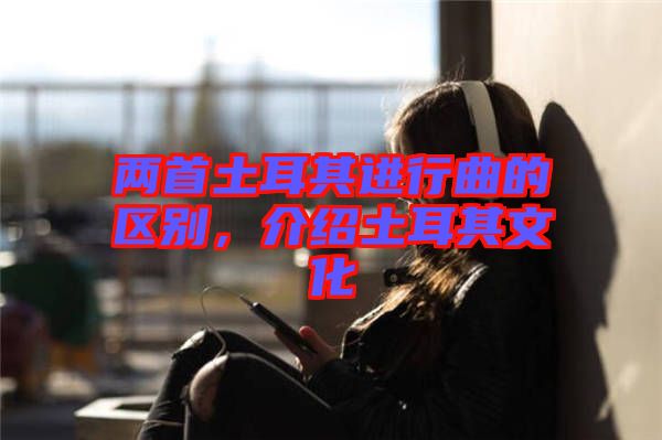 兩首土耳其進行曲的區別,介紹土耳其文化