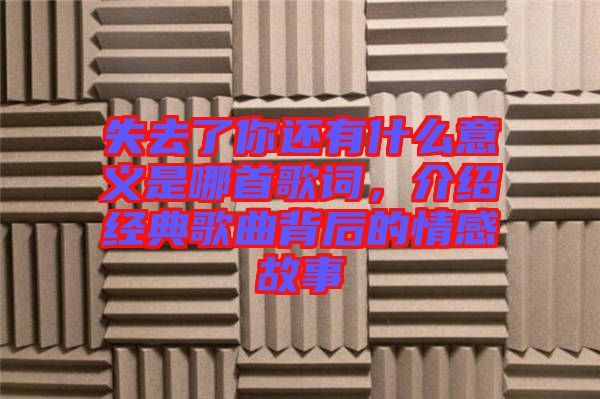 失去了你還有什么意義是哪首歌詞,介紹經典歌曲背后的情感故事