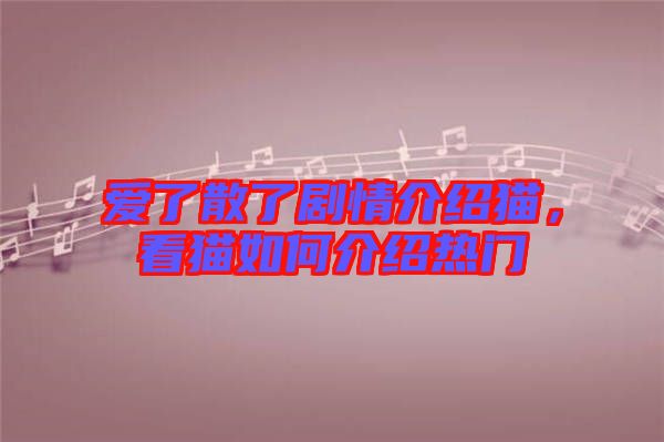愛了散了劇情介紹貓,看貓如何介紹熱門