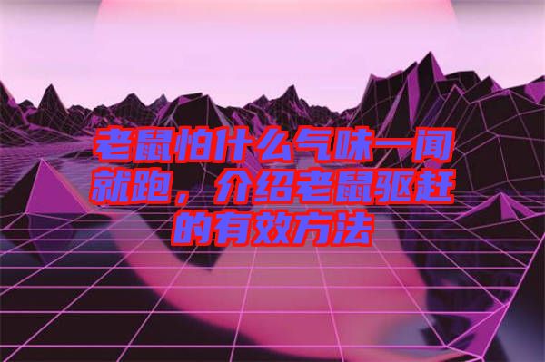 老鼠怕什么氣味一聞就跑，介紹老鼠驅(qū)趕的有效方法