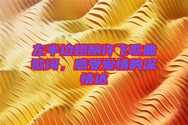 左半邊翅膀許飛歌曲歌詞,感受愛(ài)情的深情達(dá)