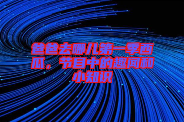 爸爸去哪兒第一季西瓜,節目中的趣聞和小知識