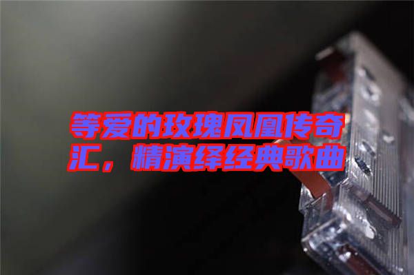 等愛(ài)的玫瑰鳳凰傳奇匯,精演繹經(jīng)典歌曲