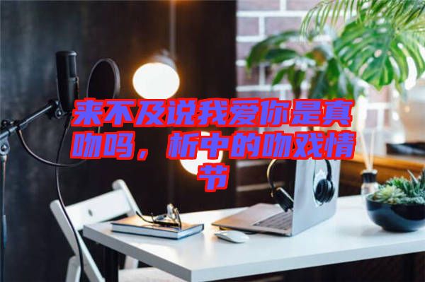 來(lái)不及說(shuō)我愛(ài)你是真吻嗎,析中的吻戲情節(jié)