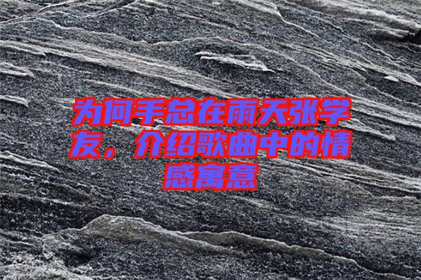 為何手總在雨天張學友,介紹歌曲中的情感寓意