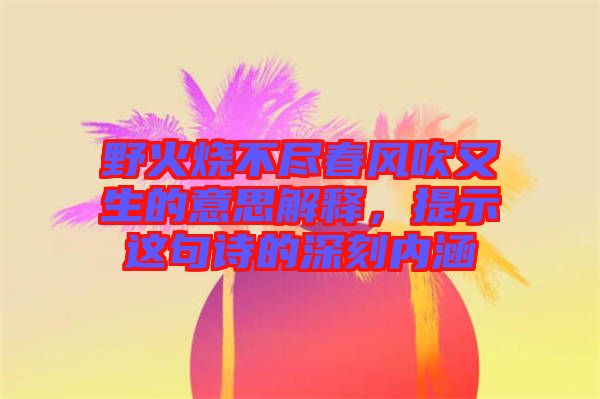 野火燒不盡春風吹又生的意思解釋,提示這句詩的深刻內涵