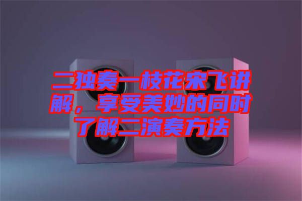 二獨奏一枝花宋飛講解,享受美妙的同時了解二演奏方法