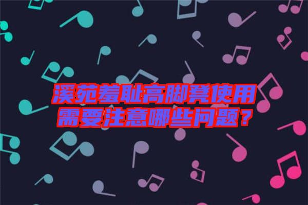 溪苑羞恥高腳凳使用需要注意哪些問題?