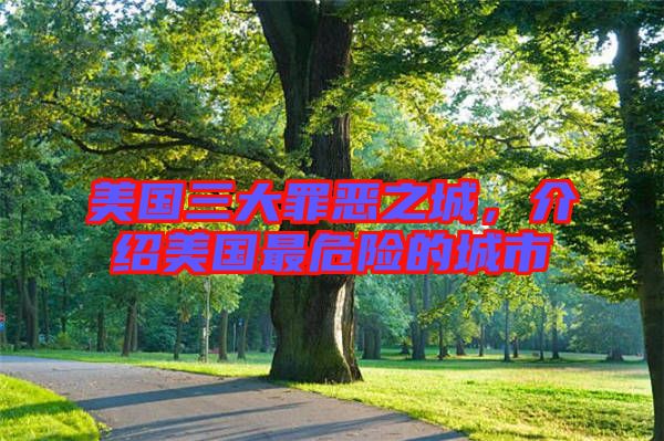 美國三大罪惡之城,介紹美國最危險的城市
