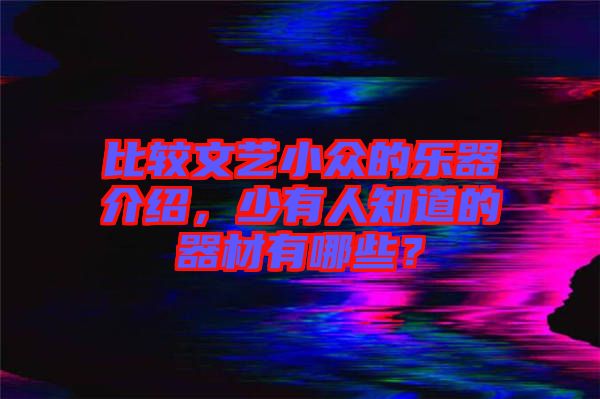 比較文藝小眾的樂器介紹,少有人知道的器材有哪些?