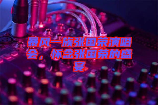 暴風(fēng)一族張國榮演唱會,懷念張國榮的盛宴