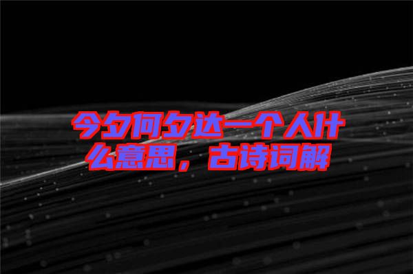 今夕何夕達(dá)一個(gè)人什么意思,古詩(shī)詞解