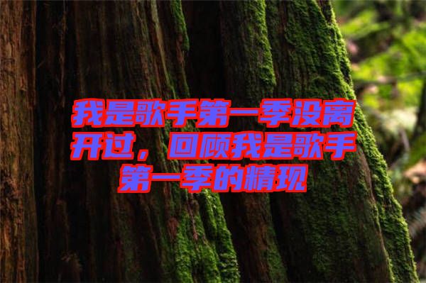 我是歌手第一季沒離開過,回顧我是歌手第一季的精現